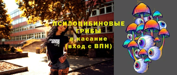ПСИЛОЦИБИНОВЫЕ ГРИБЫ Лиски