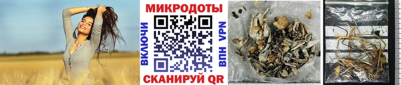 где продают   Никольск  Галлюциногенные грибы ЛСД 